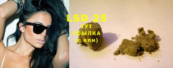 прущие грибы Железноводск