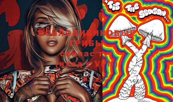 ECSTASY Нея