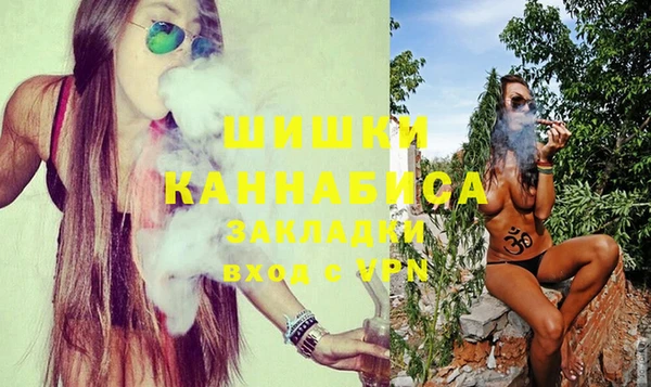 гидра Железногорск-Илимский
