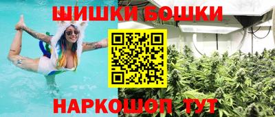 молекула духа Гатчина