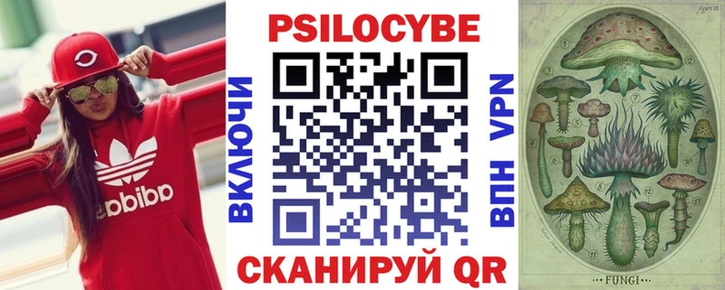 хочу наркоту Зерноград kraken вход Псилоцибиновые грибы MAGIC MUSHROOMS