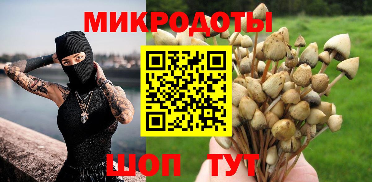 Галлюциногенные грибы Psilocybine cubensis  хочу   Вход с VPN  Зерноград  Псилоцибиновые грибы мухоморы 