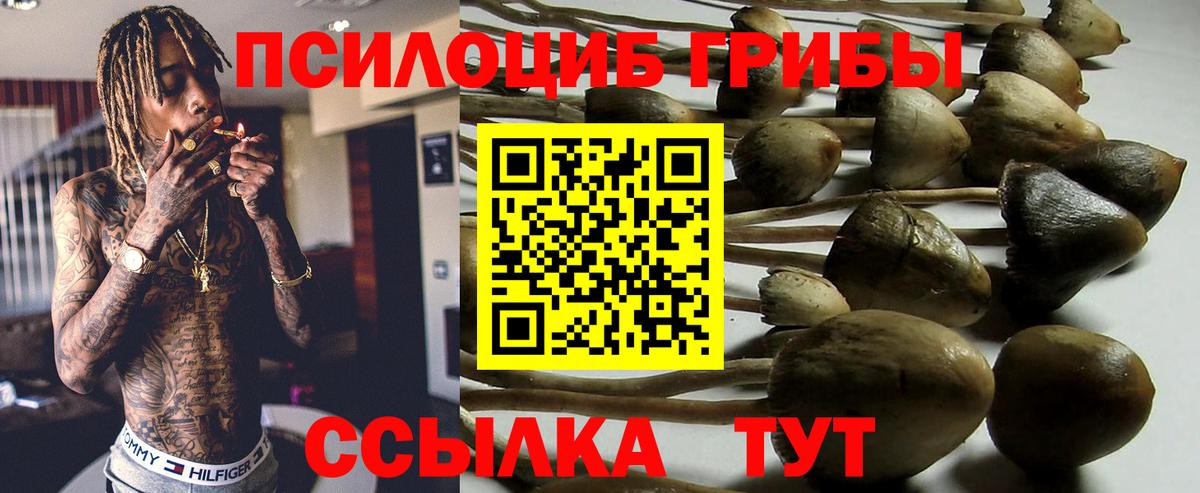 Галлюциногенные грибы MAGIC MUSHROOMS Зерноград